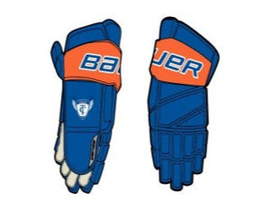 TCE Hockey Gloves (Bauer) - $120-$140